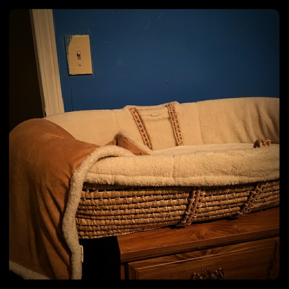 Vintage Moses bassinet